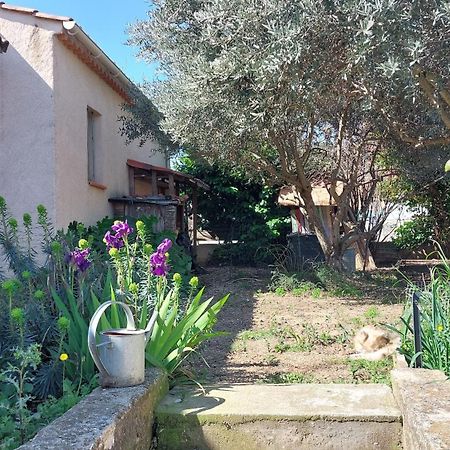Villa 80 M2 Jardin Terrasse 3 Chambres Provence Volx Kültér fotó